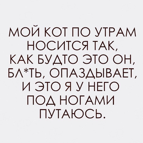 мой кот по УТРАМ носится ТАК КАК БУАТО это он БАТЬ ОПАЗАЫВАЕТ и это я у НЕГО под НОГАМИ ПУТАЮСЬ