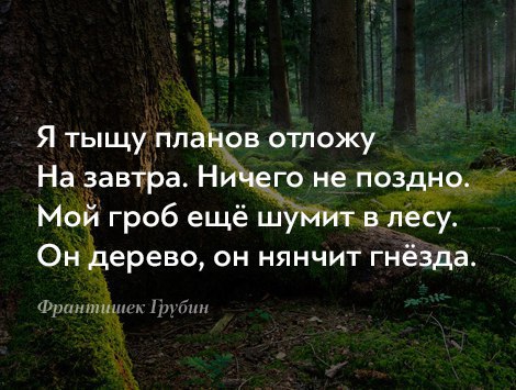 Я тыщу пла ов отпожу На завтра Ни _го не поздно Мой гроб ещё шу т в лесу Он дерево он нянчит гнёзда 1 или