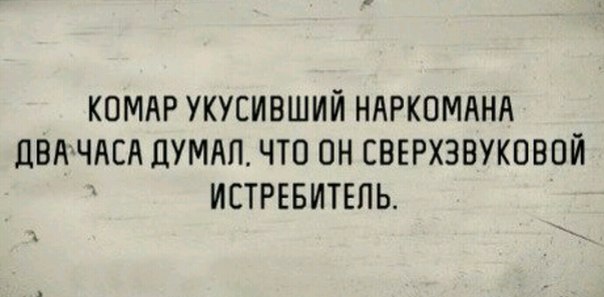 КОМАР УКУСИВШИЙ НАРКОМАНА ЦВАЧАЕА ДУМАП ЧТО ОН СВЕРХЗВУКОВПЙ ИСТРЕБИТЕПЬ