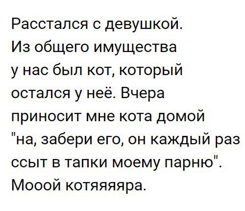 Расстался с девушкой Из общего имущества у нас был кот который остался у неё Вчера приносит мне кота домой на забери его он каждый раз ссыт в тапки моему парню Мооой котяяяяра