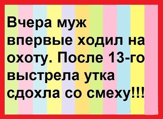 Вчера муж впервые ходил на охоту После 13 го выстрела утка сдохла со смеху