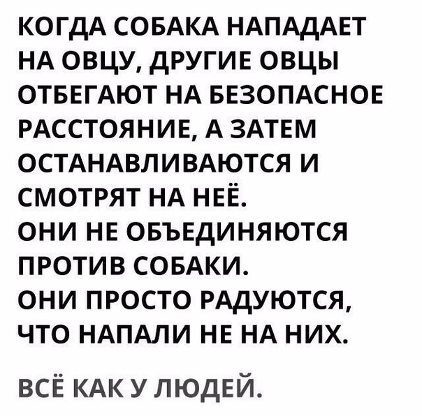 КОГДА СОБАКА НАПАдАЕТ НА овцу другив овцы отввгАют НА БЕЗОПАСНОЕ РАССТОЯНИЕ А ЗАТЕМ ОСТАНАВЛИВАЮТСЯ и смотрят НА НЕЁ они НЕ овъндиняются против СОБАКИ они просто РАДУЮТСЯ что НАПАЛИ НЕ НА них всё КАК у людей