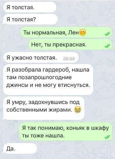 Я толстая Я толстая Ты нормальная Лене Нет ты прекрасная ж Я ужасно толстая Я разобрала гардероб нашла там позапрошлогодние ДЖИНСЫ И не МОГУ ВТИСНУТЬСЯ Я умру задохнувшись под собственными жирами О Я так понимаю коньяк в шкафу ты тоже нашла