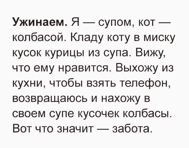 Ужинаем Я супом кот _ колбасой Кладу коту в миску кусок курицы из супа Вижу что ему нравится Выхожу из кухни чтобы взять телефон возвращаюсь и нахожу в своем супе кусочек колбасы Вот что значит забота