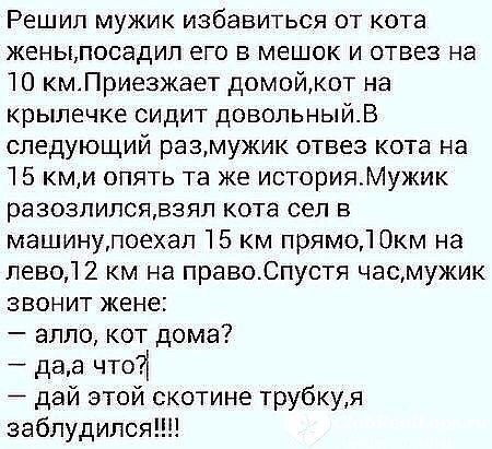 Решил мужик избавиться от кота женыпосадип его в мешок и отвез на 10 кмАПриезжает домойкот на крылечке сидит довольныйВ следующий размужик отвез кота на 15 кми опять та же историяМужик разозлилсявзяп кота сел в машинулоехап 15 км прямоДОкм на левод 2 км на правоСпустя часмужик звонит жене апло кот дома даа чтоі дай этой скотине трубкуя заблудился