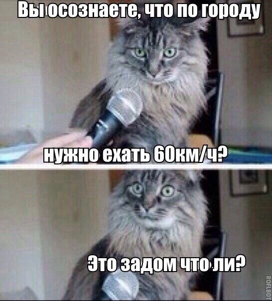 Вы БОЗНЗВЬЕ что по гоподи