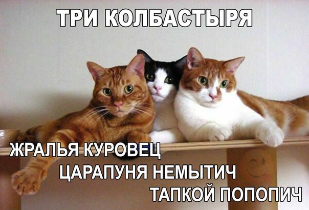 СТЫРЯ ЖРАПЬЯ К У РФЁЕЦ ЦАРАПУНЯ НЕМЫТИЧ