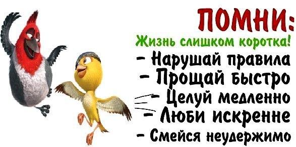 ПОМНИ Жизнь слишком коротка Нарушай правим _ Прощай Быстро ___ Целуй меменно д Аюви искренне Смейся неудержимо