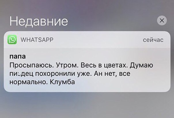 Недавние МНАТЗАРР папа Просыпаюсь Утром Весь в цветах думаю пиздец похоронили уже Ан нет все нормально Клумба