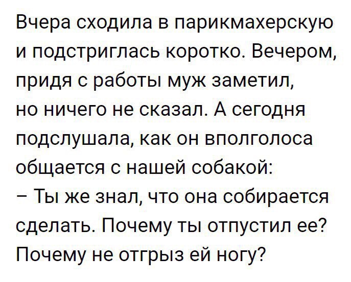 Вчера сходила в парикмахерскую и подстриглась коротко Вечером придя с работы муж заметил но ничего не сказал А сегодня подслушала как он вполголоса общается с нашей собакой Ты же знал что она собирается сделать Почему ты отпустил ее Почему не отгрыз ей ногу