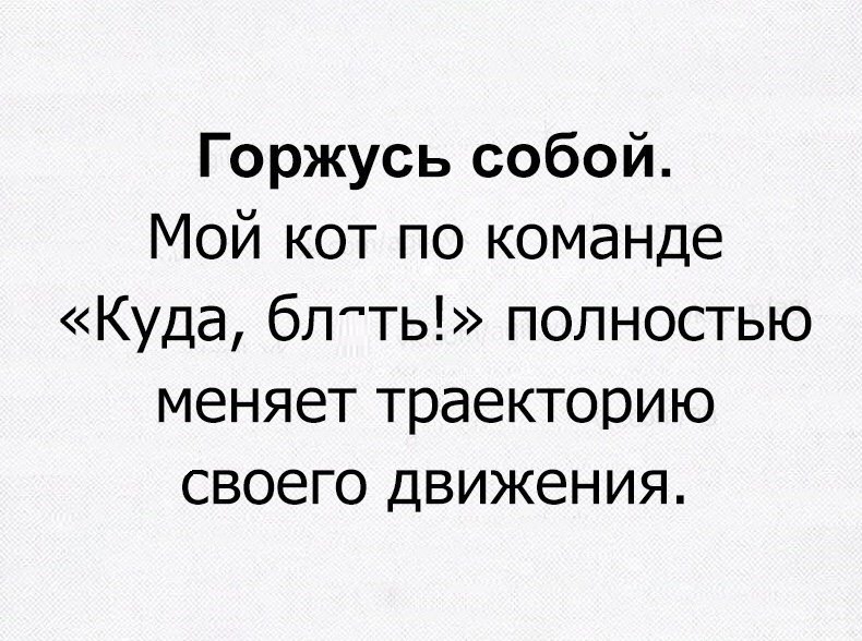 Горжусь собой Мой кот по команде Куда блть полностью меняет траекторию своего движения