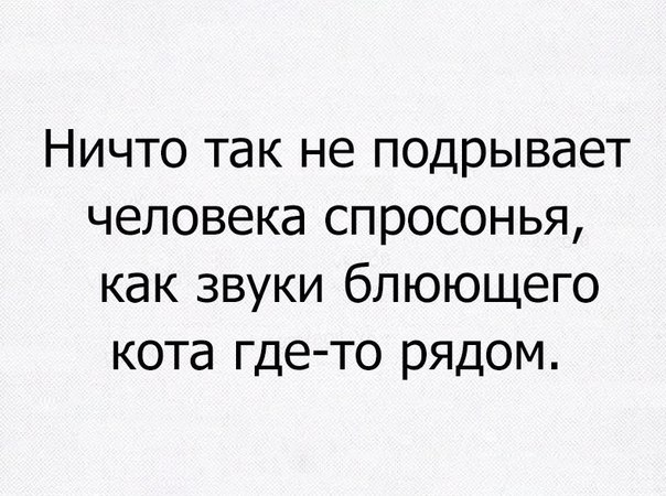 Ничто так не подрывает человека спросонья как звуки блюющего кота где то рядом
