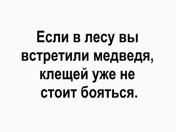 Если в лесу вы встретили медведя клещей уже не стоит бояться