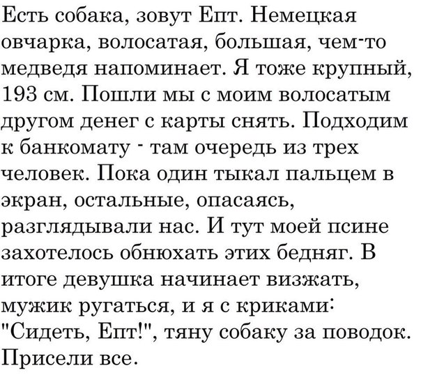 Есть собака зовут Епт Немецкая овчарка волосатая большая чем то медведя напоминает Я тоже крупный 193 см Пошли мы с моим волосатым другом денег с карты снять Подходим к банкомату там очередь из трех человек Пока один тыкал пальцем в экран остальные опасаясь разглядывали нас И тут моей псине захотелось обнюхать этих бедняг В итоге девушка начинает визжать мужик ругаться и я с криками Сидеть ЕптГ тя