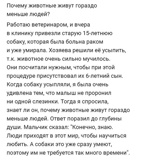 Почему животные живут гораздо меньше людей Работаю ветеринаром и вчера в клинику привезли старую летнюю собаку которая была больна раком и уже умирала Хозяева решили её усыпить тк животное очень сильно мучипось Они посчитали нужным чтобы при этой процедуре присутствовал их блетний сын Когда собаку усыпляпи я была очень удивлена тем что малыш не проронил ни одной слезинки Тогда я спросила знает ли 