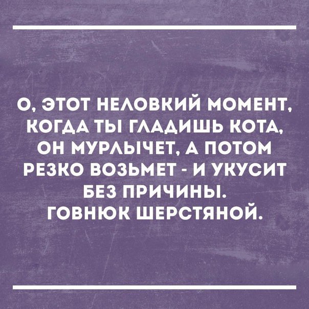 о этот ныювкий момгнт КОГАА ты ГАААИШЬ котА он мумычет А потом рвзко возьмвт и укусит вез причины говнюк шврстяной