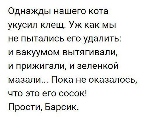 Однажды нашего кота укусил клещ Уж как мы не пытались его удалить и вакуумом вытягивали и прижигали и зеленкой мазали Пока не оказалось что это его сосок Прости Барсик