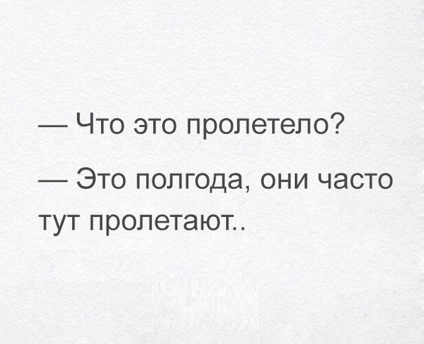 Что это пролетело Это полгода они часто тут пролетают