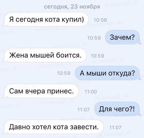 Я сегодня кота купил Зачем Жена мышей боится А мыши откуда Сам вчера принес Для чего ДЭВНО ХОТЕЛ кота ЗЭВЭСТИ