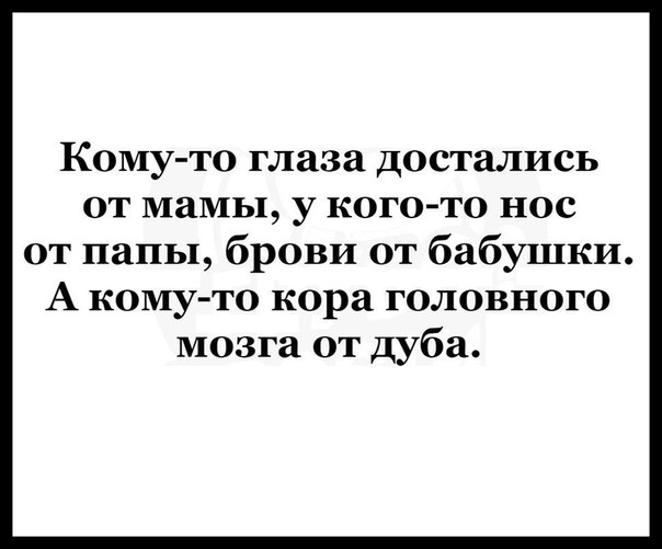 Кому то глаза достались от мамы у кого то нос от папы брови от бабушки А кому то кора головного мозга от дуба