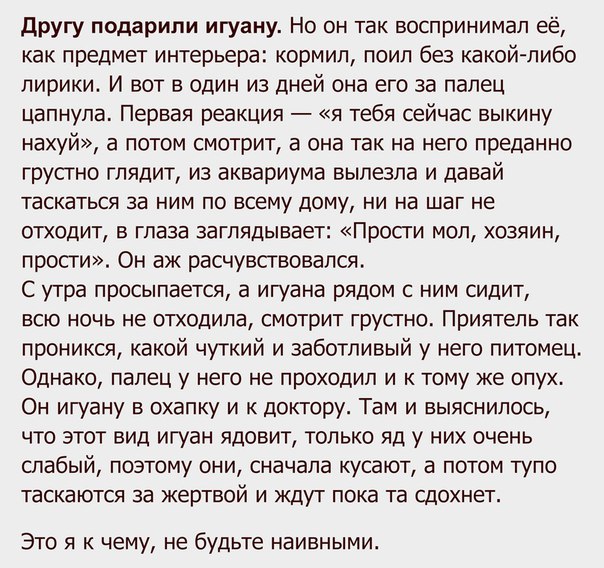 другу подарили игуану Но он так воспринимал её как предмет интерьера кормил поил без какой либо лирики И вот в один из дней она его за палец цапнула Первая реакция я тебя сейчас выкину нахуй а потом смотрит а она так на него преданно грустно глядит из аквариума вылезла и давай таскаться за ним по всему дому ни на шаг не отходит в глаза заглядывает Просги мол хозяин прости Он аж расчувствовался С у