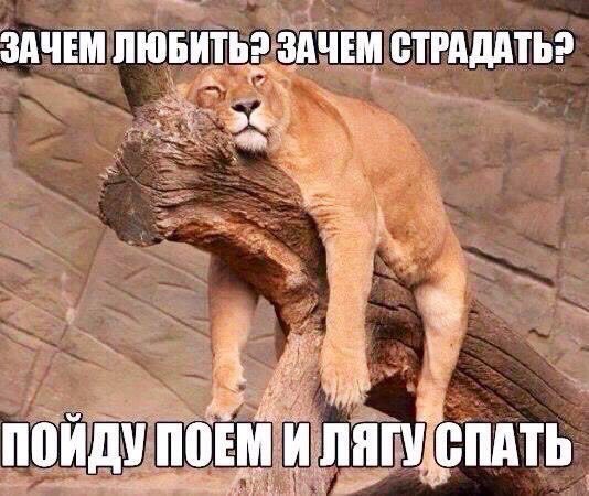ЗАЧЕМ ЛЮБИТЬЗЁЗАЧЕЩ ВТРАДАТЬ мм в __ _ дя ПВИДШШЕЫ П ЩЁМТЬ а _ 7 А