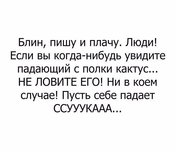 Блин пишу и плачу Люди Если вы когда нибудь увидите падающий с полки кактус НЕ ЛОВИТЕ ЕГО Ни в коем случае Пусть себе падает ССУУУКААА