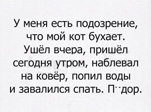 У меня есть подозрение что мой кот бухает Ушёл вчера пришёл сегодня утром наблевал на ковёр попил воды и завалился спать Пдор