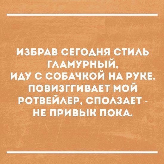 ИЗБРАВ СЕГОАНЯ СТИАЬ ГААМУРНЫЙ ИАУ С СОБАЧКОЙ НА РУКЕ ПОВИЗГГИВАЕТ МОИ РОТВЕИАЕР СПОАЗАЕТ НЕ ПРИВЫК ПОКА