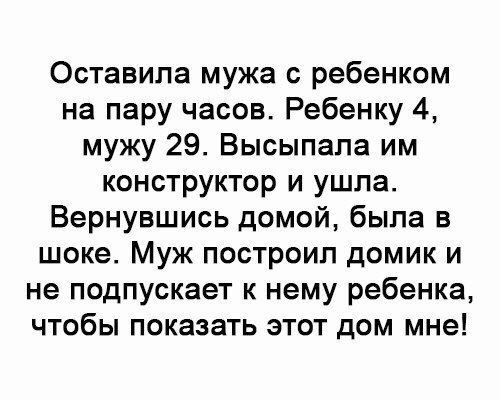 Оставила мужа с ребенком на пару часов Ребенку 4 мужу 29 Высыпапа им конструктор и ушла Вернувшись домой была в шоке Муж построил домик и не подпускает к нему ребенка чтобы показать этот дом мне