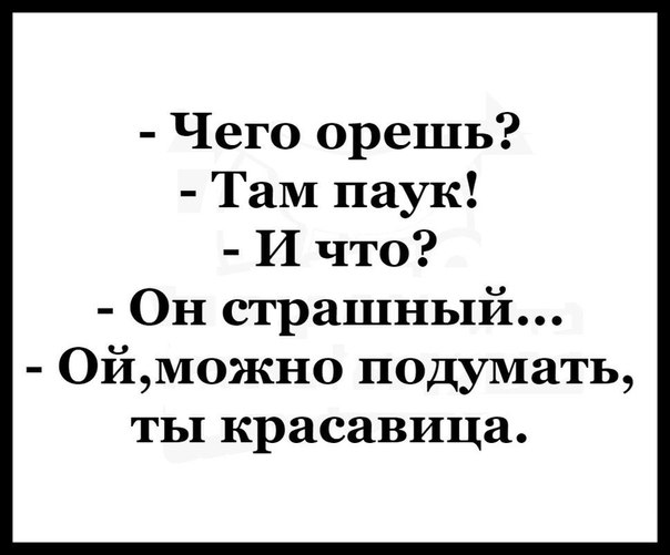 Чего орешь Там паук И что Он страшный ОйМожно подумать ты красавица