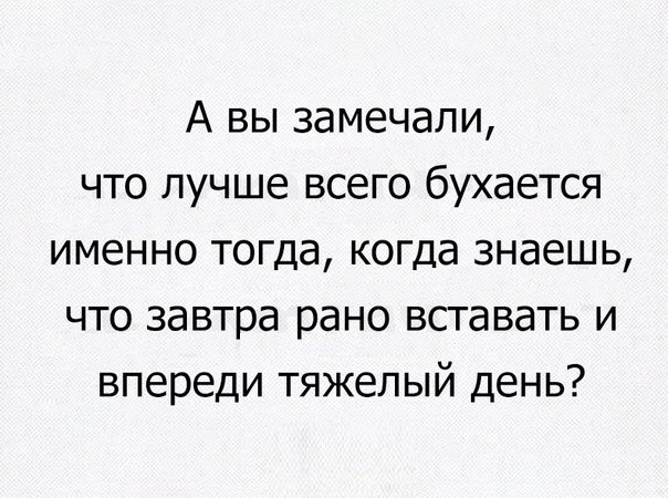 А вы замечали что лучше всего бухается именно тогда когда знаешь что завтра рано вставать и впереди тяжелый день