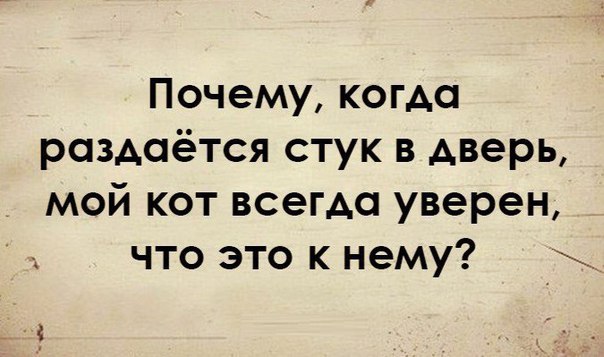 Почему когда раздаётся стук в дверь мой кот всегда уверен что это к нему