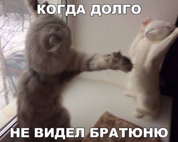 БРАЁЁюню