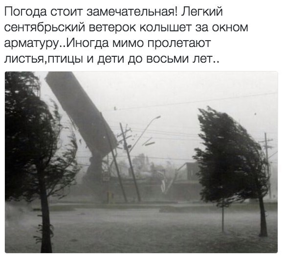 Погода стоит замечательная Легкий сентябрьский ветерок колышет за окном арматуруИногда мимо пролетают листьяптицы и дети до восьми лет