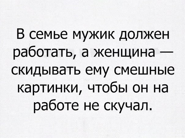 В семье мужик должен работать а женщина скидывать ему смешные картинки чтобы он на работе не скучал