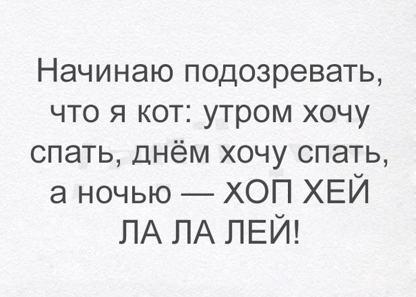 Начинаю подозревать что я кот утром хочу спать днём хочу спать а ночью ХОП ХЕЙ ЛА ПА ПЕЙ