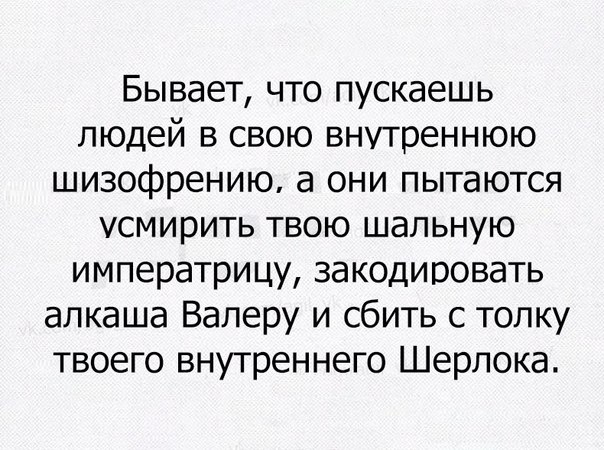Бывает что пускаешь людей в свою внутреннюю шизофрению а они пытаются усмирить твою шальную императрицу закодировать алкаша Валеру и сбить с толку твоего внутреннего Шерлока
