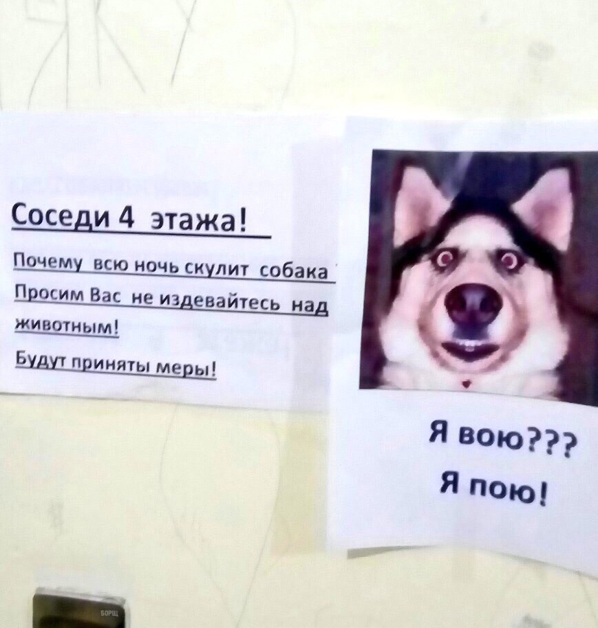 Соседи 4 этажа Почему всю ночь скупит собака П росим Вас не издевайтесь над животным В п иияты ме ы Я всю Я пом