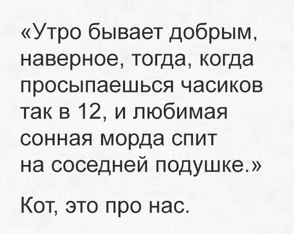 Утро бывает добрым наверное тогда когда просыпаешься часиков так в 12 и любимая сонная морда спит на соседней подушке Кот это про нас