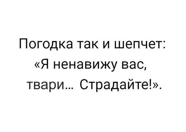 Погодка так и шепчет Я ненавижу вас твари Страдайте