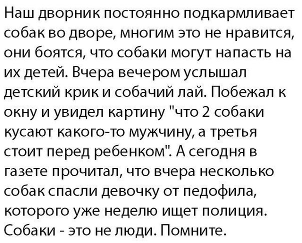 Наш дворник постоянно подка рмливает собак во дворе многим это не нравится они боятся что собаки могут напасть на их детей Вчера вечером усл ышал детский крик и собачий пай Побежал к окну и увидел картину что 2 собаки кусают ка когото мужчину а третья стоит перед ребенком А сегодня в газете прочитал что вчера несколько собак спасли девочку от педофила которого уже неделю ищет полиция Собаки это не
