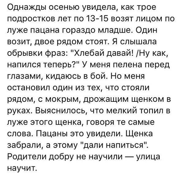 Однажды осенью увидела как трое подростков лет по 1315 возят лицом по луже пацана гораздо младше Один возит двое рядом стоят Я слышала обрывки фраз Хлебай давай Ну как напился теперь У меня пелена перед глазами кидаюсь в бой Но меня остановил один из тех что стояли рядом с мокрым дрожащим щенком в руках Выяснилось что мелкий топил в луже этого щенка говоря те самые слова Пацаны это увидели Щенка з