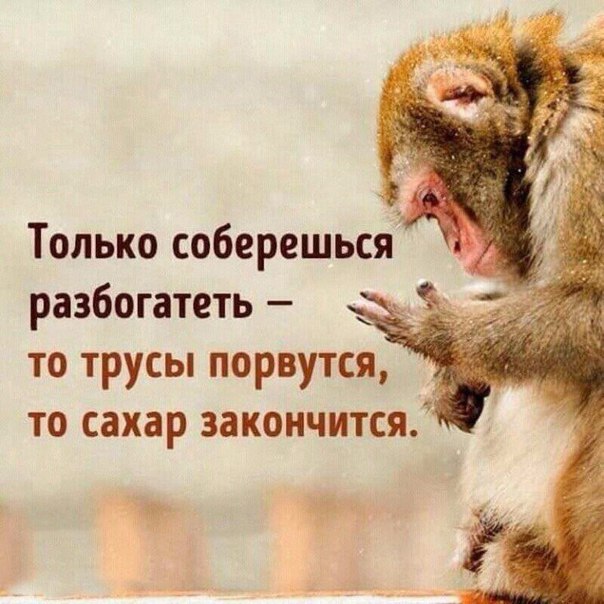 Только соберешься разбогатеть то трусы порвутся __ то сахар закончится