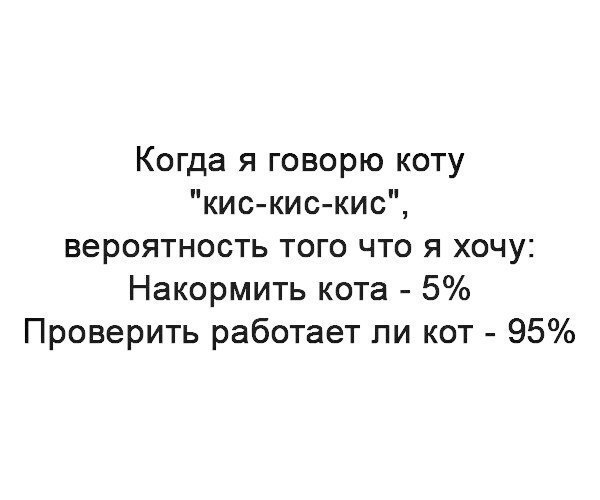 Когда я говорю коту кис кис кис вероятность того что я хочу Накормить кота 5 Проверить работает ли кот 95