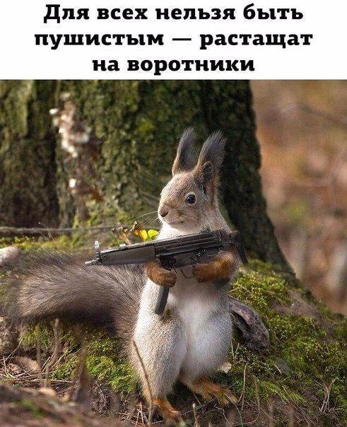 для всех нельзя быть пушистым рас тащат на воротники