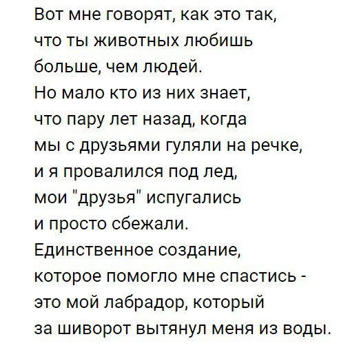 Вот мне говорят как это так что ты животных любишь большечем людей Но мало кто из них знает что пару лет назад когда мыс друзьями гуляли на речке и я провалился под лед мои друзья испугались и просто сбежапис Единственное создание которое помогло мне спастись это мой лабрадор который за шиворот вытянул меня из воды