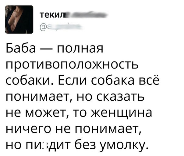 текил _ Баба полная противоположность собаки Если собака всё понимает но сказать не может то женщина ничего не понимает но пидит без умолку