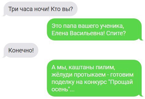 Три часа ночи Кто вы Это папа вашего ученика Елена Васильевна Спите Канечно А мы каштаны пипим желуди протыкаем готовим поделку на конкурс Прощай осень