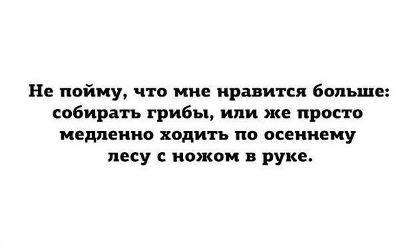 Не пойму что мне нравится больше собирать грибы или же просто медленно ходить по осеннему песу ножом в руке